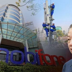 Why does party chief To Lam allow Ministry of Public Security to acquire profitable private enterprises?