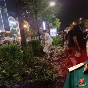 DIỄU BINH CHƯA KỊP DIỄN, HOA CỎ ĐÃ TAN TÁC.