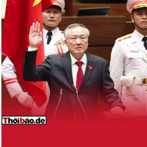 NGUYỄN HÒA BÌNH VÀ BÓNG ĐEN TRÊN NGÀNH TƯ PHÁP.