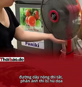 EVN: KHÁCH HÀNG THÀNH CON NỢ, ĐỘC QUYỀN THÀNH BĂNG NHÓM