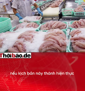 XUẤT KHẨU THỦY SẢN GẶP BÃO: NGƯ DÂN LO MẤT CẦN CÂU CƠM