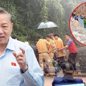 Wenn der „Hinterhalt“ gegen Arme zur Militärkunst wird