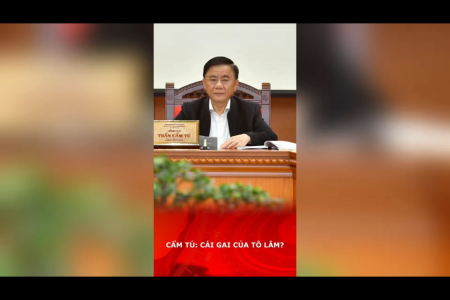 CẨM TÚ: CÁI GAI CỦA TÔ LÂM?