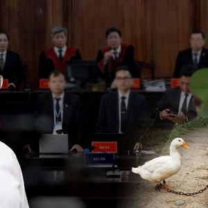 Cán Cân Công Lý „Lỗi Nhịp“: Khi Con Vịt Nặng Hơn 142 Tỷ Đồng, Kịch Bản Bảo Kê Của Nhóm Tinh Hoa?