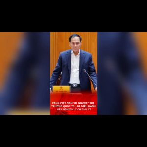 Xăng Việt Nam “đi ngược” thị trường quốc tế: Lỗi điều hành hay nghịch lý có chủ ý?