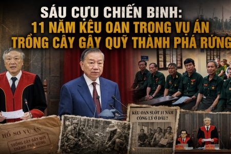 Sáu cựu chiến binh: 11 năm kêu oan trong vụ án trồng cây gây quỹ thành phá rừng