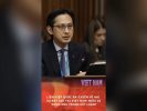 Liên hiệp quốc ra ý kiến về hai vụ bắt giữ tại Việt Nam: Điều gì được nêu trong kết luận?