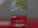 TP HCM xem xét chuyển 4,5 héc ta rừng làm Metro Cần Giờ do Vingroup đầu tư