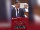 Cần đưa Nguyễn Sỹ Cương ra trước pháp luật, chứ không phải xóa số 55