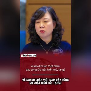 ¿Por qué se ha desatado la polémica en la opinión pública vietnamita en torno al proyecto de ley sobre la donación de tejidos y órganos?